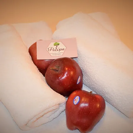 Гостевой дом φιλυρέα - 3 Загора