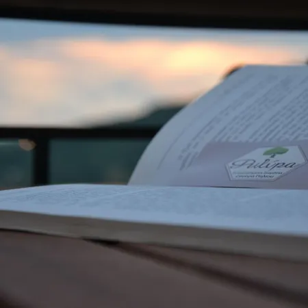 φιλυρέα - 3 Гостевой дом 4*