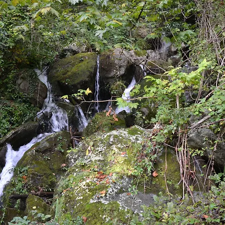 φιλυρέα - 3 Гостевой дом 4*