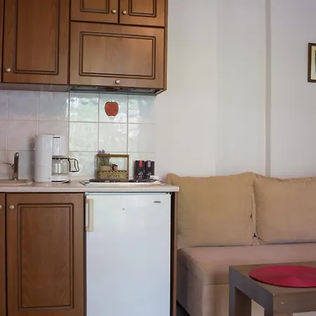 φιλυρέα - ενοικιαζόμενα Guest house Zagora