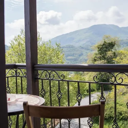 φιλυρέα - ενοικιαζόμενα Guest house Zagora