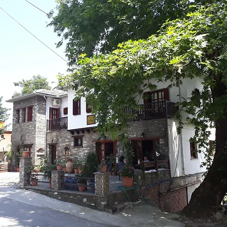 φιλυρέα - 3 Zagorá