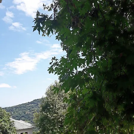 φιλυρέα - 3 3* Zagorá
