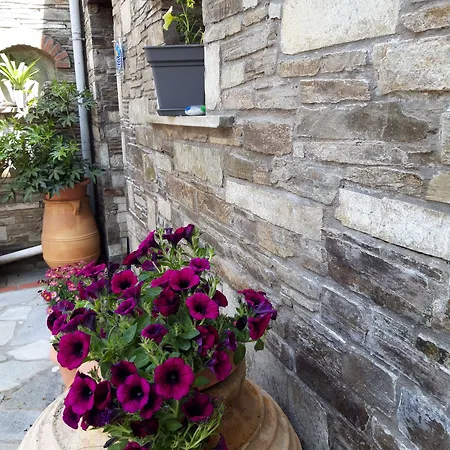 Pensionat φιλυρέα - 3