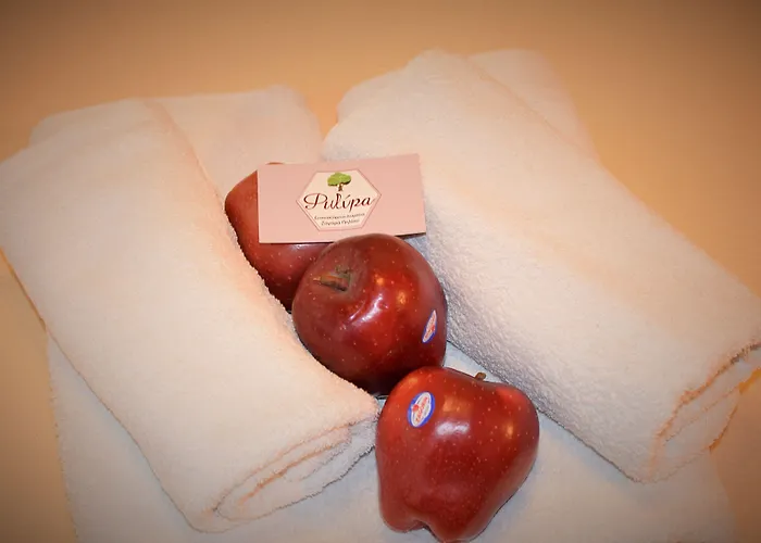 Pensiune φιλυρέα - 3 Zagora