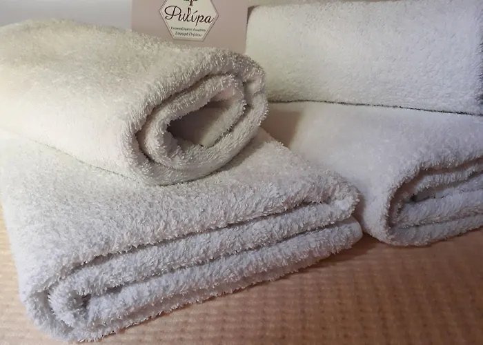 Pensiune φιλυρέα - 3