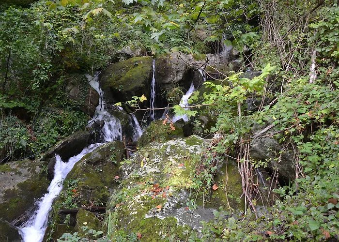 φιλυρέα - 3 Pensiune 4*