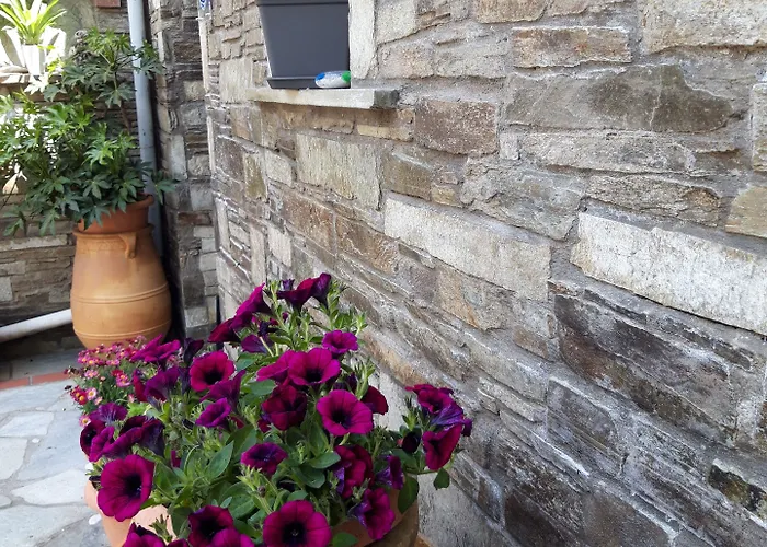 Pensiune φιλυρέα - 3